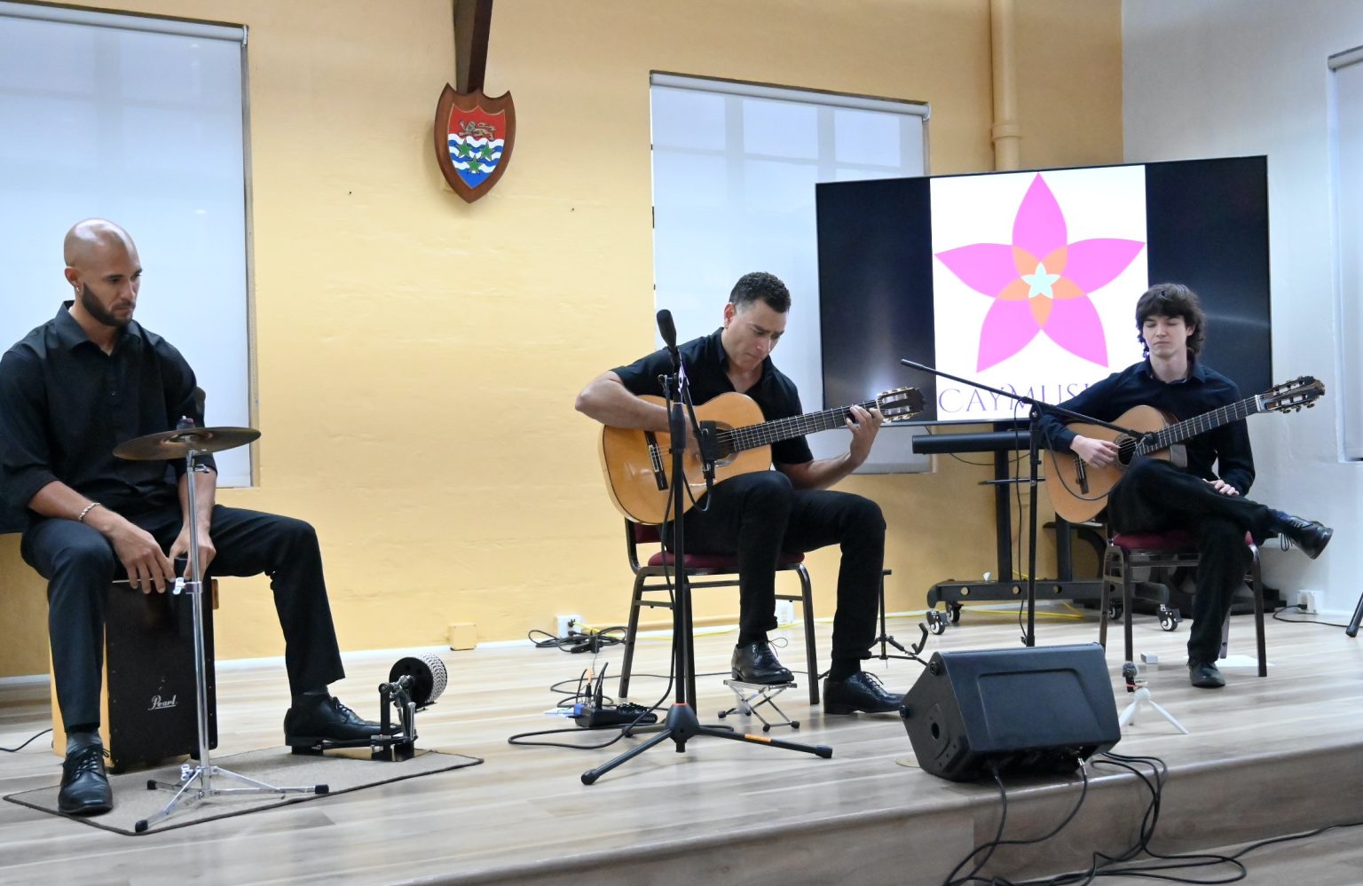 The library sways to the grove of flamenco