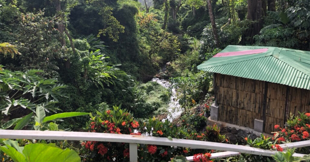 This Tiny Rainforest Town in Dominica Is Filled With Geothermal Hot Springs This Tiny Rainforest Town in Dominica Is Filled With Geothermal Hot Springs