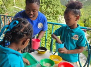 Eslyn Henley students get job experience