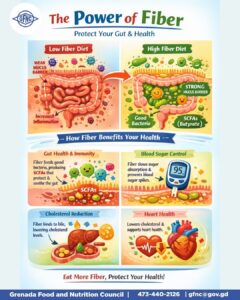 Fibre benefits beyond constipation | NOW Grenada