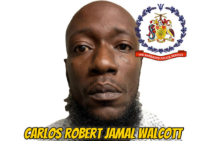 Man remanded on firearm and ammunition charges