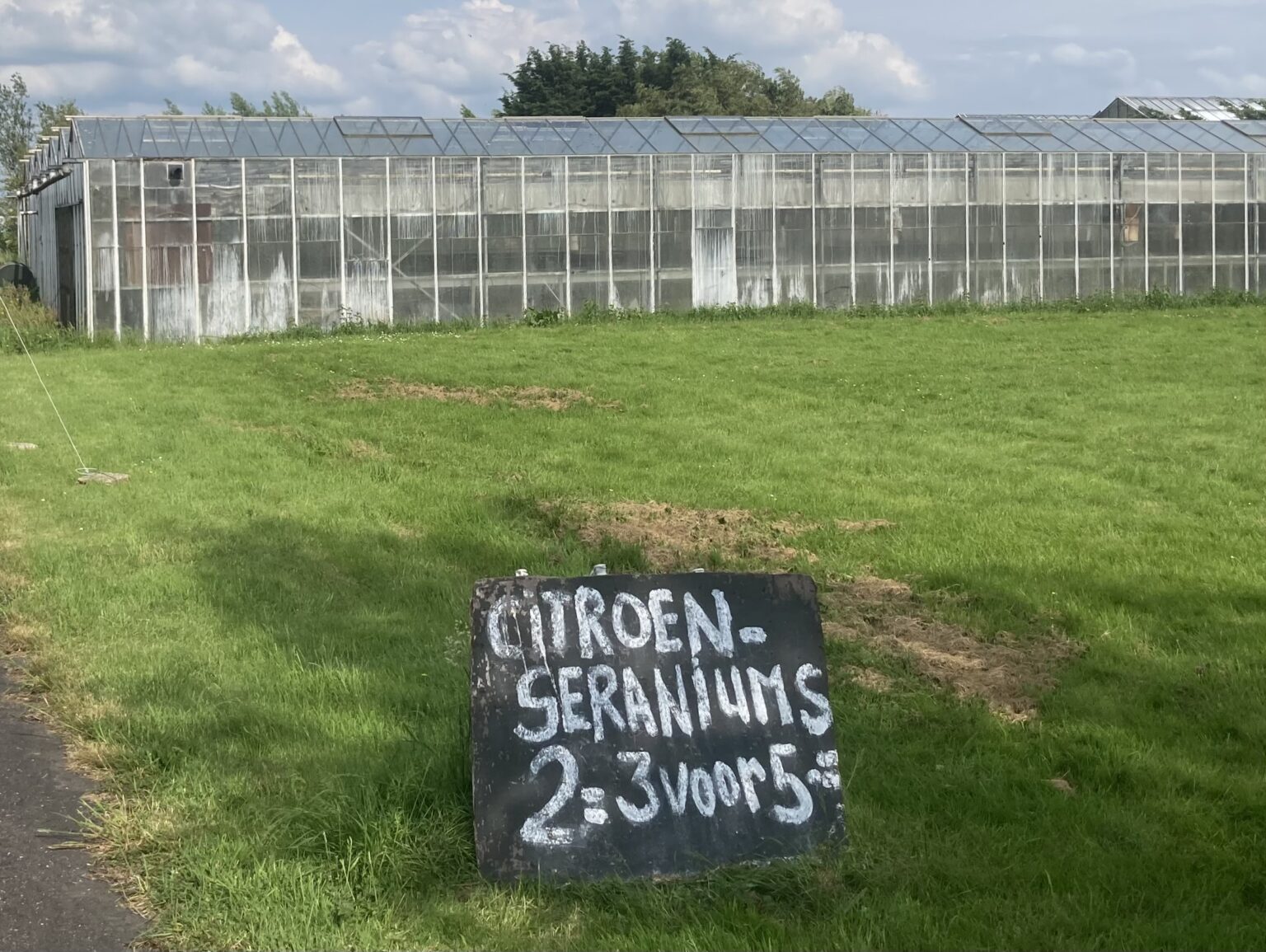 Many cut flower growers are flouting pesticide regulations Many cut flower growers are flouting pesticide regulations