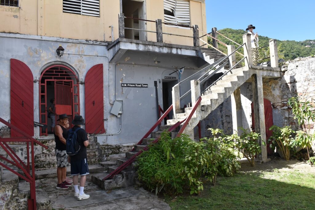 So many stories in a dozen cells