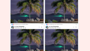 The ‘Living Lights’ Bioluminescence of Beautiful Saint Croix – Virgin Islands Free Press