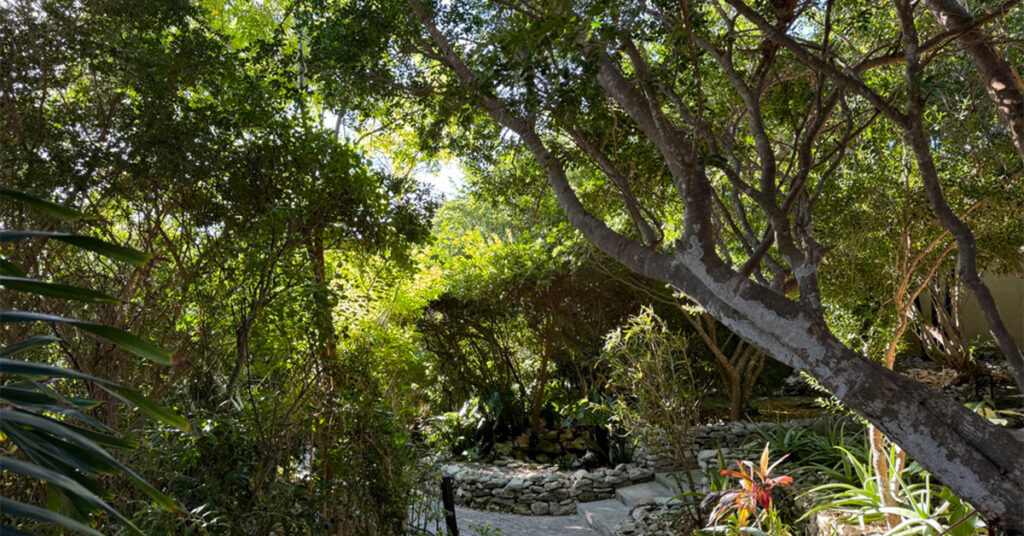 This Turks and Caicos Hotel Has Private Cottages, Botanical Gardens, and a Grace Bay Beach Club This Turks and Caicos Hotel Has Private Cottages, Botanical Gardens, and a Grace Bay Beach Club