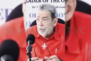 Winning election does not give you ‘unrestrained, unshackled, unbounded executive power’, says Opposition Leader