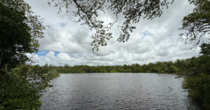 Barbados Has a Stunning Nature Sanctuary With an Inland Lake, Colorful Wildlife, and the Island’s Last Mangrove Forest