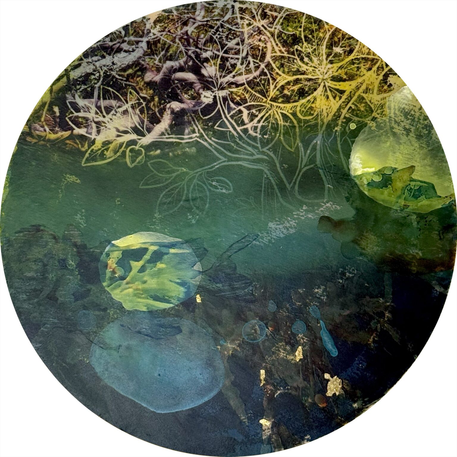 Shifting Roots, Fluid Horizons Exhibition Shifting Roots, Fluid Horizons Exhibition