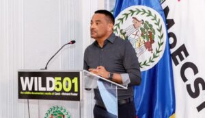 WILD501 exhibition and preservation project launched