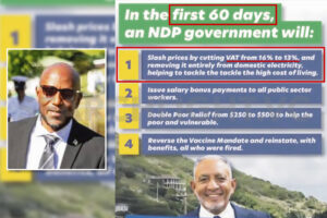 We never said we were going to reduce VAT in 60 days – Bramble