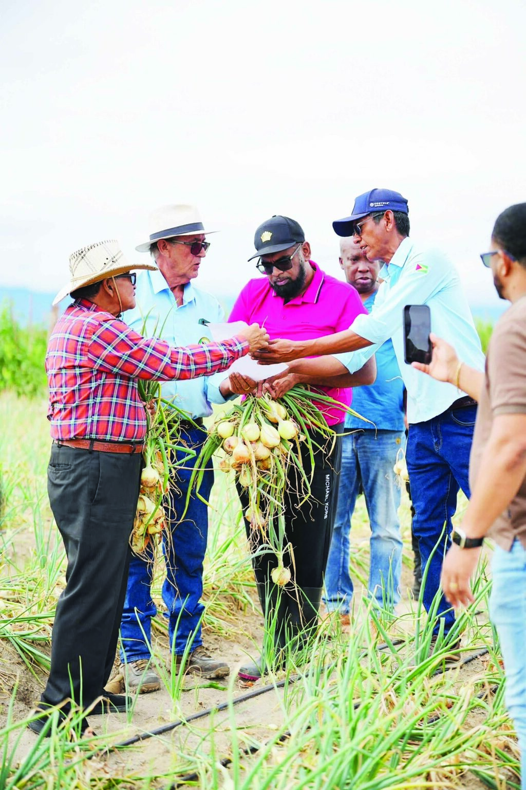 2000 bags of Region 9 onions shipped to Georgetown