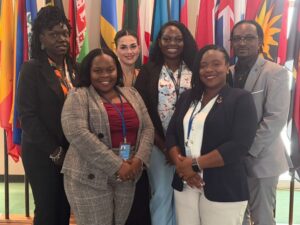 National Youth Ambassador delivers powerful intervention on SDG 11 at ECOSOC Youth Forum
