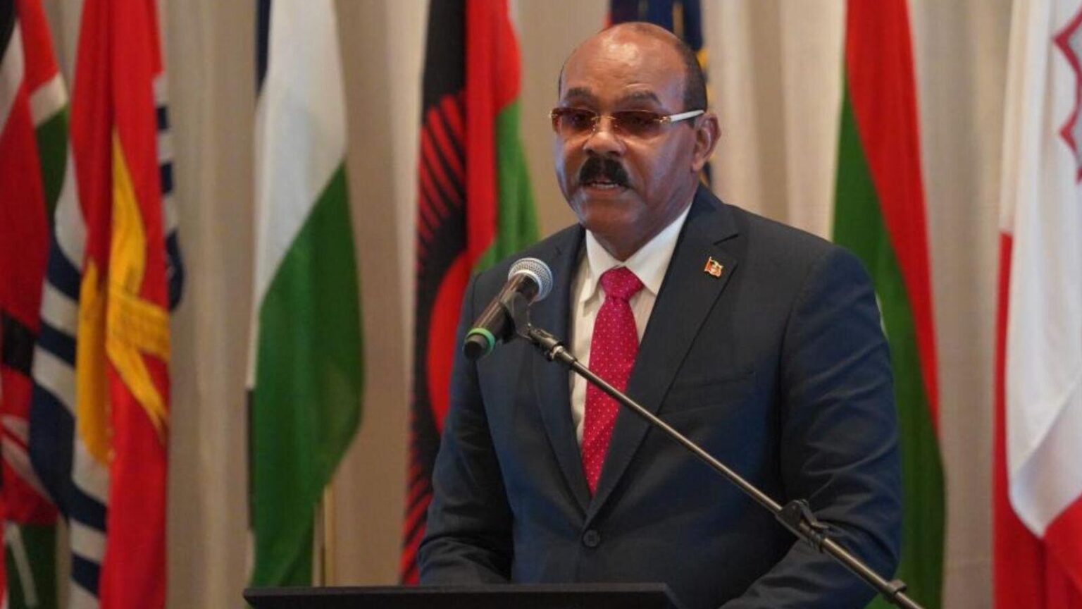 PM Browne elected leader of ruling party