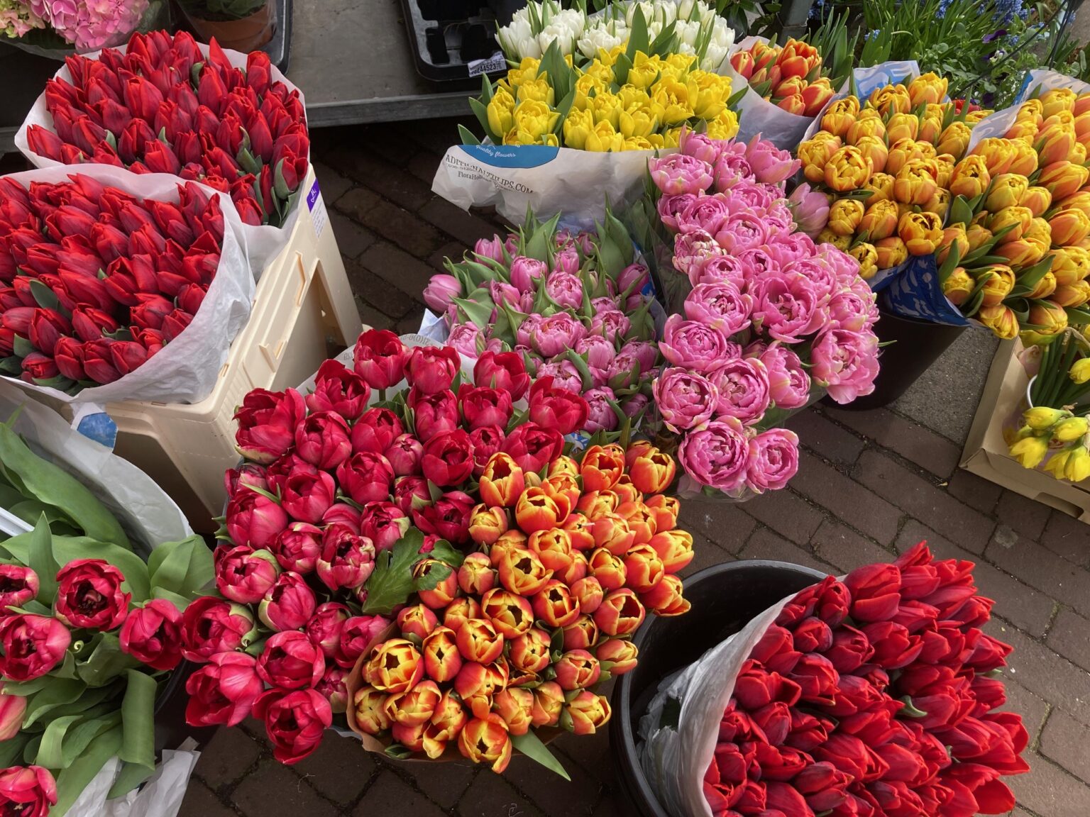 Summer is heading our way next week, and Easter will be sunny Summer is heading our way next week, and Easter will be sunny