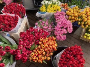 Summer is heading our way next week, and Easter will be sunny